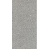 Magma 18" x 36" Light Polished Field Tile in Flat Ash