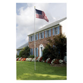 USA Flags