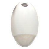 6W Outdoor Emergency Light with Sensor