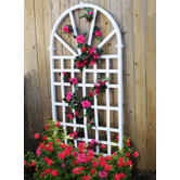 trellis