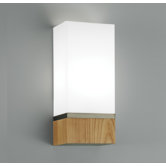 Cube Wide Wall Sconce
