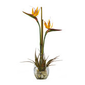 Bird of Paradise Liquid Illusion Silk Flower Arrangement