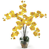 Liquid Illusion Phalaenopsis Silk Orchid Arrangement in Yellow