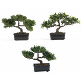 12" Silk Bonsai Plant in Green (Set of 3)