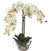 Phalaenopsis Silk Orchid Arrangement in White with Glass Vase