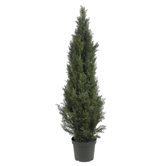 Mini Cedar Pine Tree in Green