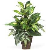 Silk Mixed Greens Plant with Wicker in Green