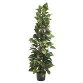 63" Silk Pothos Climbing Plant