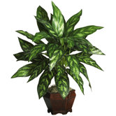 Silk Silver King Plant with Wood Vase in Green