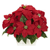 Poinsettia with White Wash Planter Silk Arrangement