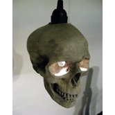 Skull 1 Light Mini Pendant