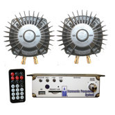 2-Transducer Portable Harmonic Massage Kit