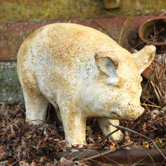 Animals Pig-Standing Statue