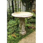 Musical Cherubs Birdbath