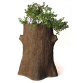 Tree Trunk Planter Planter