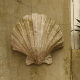 Napoli Shell Sconce Wall Decor