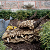 Stoker's Moors Dragon Skull Statue