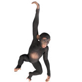 Hanging Jungle Monkey Statue