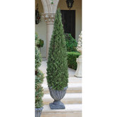 The Topiary Cone Tree