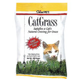 Cat Grass