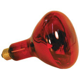 Nocturnal Infrared Heated Lamp