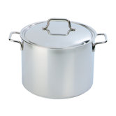 Apollo Stockpot with Lid