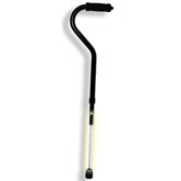Path Lighter Walking Cane