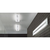 Riga Two Light Wall / Ceiling Light