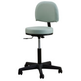 yearAdjustable Premium Stool with Backrest