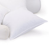 75 / 25 Throw Pillow