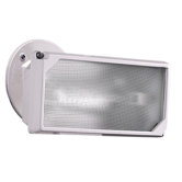300 Watt Halogen Single Head Floodlight in White