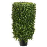 30" Rectangle Boxwood Topiary Plant with Plastic Pot
