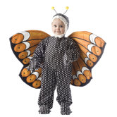 Butterfly Costume