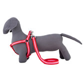 Bronte Dog Harness