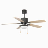 Sanday Two Light Ceiling Fan in Dark Grey