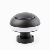 Boletus One Light Outdoor Lamp in Dark Grey