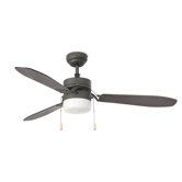 Marce One Light Ceiling Fan in Dark Gray