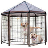 Pet Gazebo