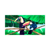 Toucans Kitchen Tile Mural