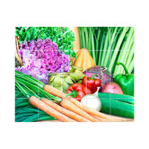 Vegetables Kitchen Tile Mural