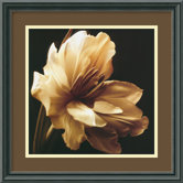 Timeless Grace I by Charles Britt, Framed Print Art - 15.83" x 15.83"
