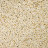Natural Stone 12" x 12" Granite Tile in Empress Gold