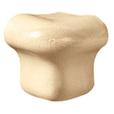 Cape Cod 2" x 2" V Cap Angle Out in Natural Matte