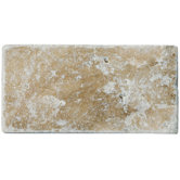 3" x 6" Fontane Travertine in Walnut