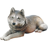 Original Size Gray Wolf Sculpture