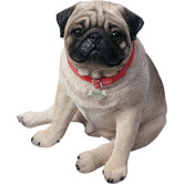 Life Size Sitting Pug Sculpture in Fawn