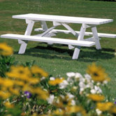 Picnic Table with Bench
