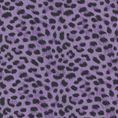 Kids World Kitty Purry Leopard Print Wallpaper