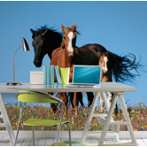 National Geographic Wild Horses Wall Mural