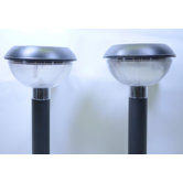 Solar Power Blanca Path Light (Set of 12)
